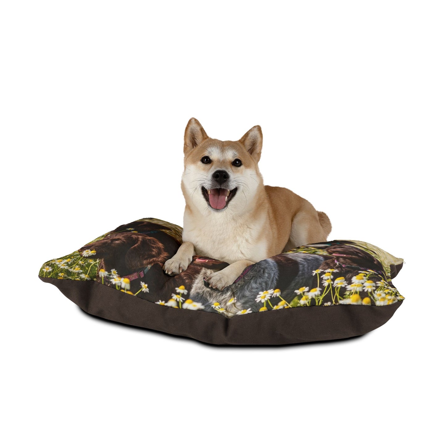 Pudelpointer Pet Bed