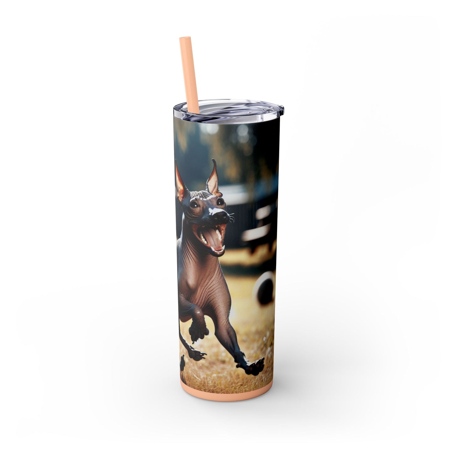 American Hairless Terrier Tumbler with Straw, 20oz
