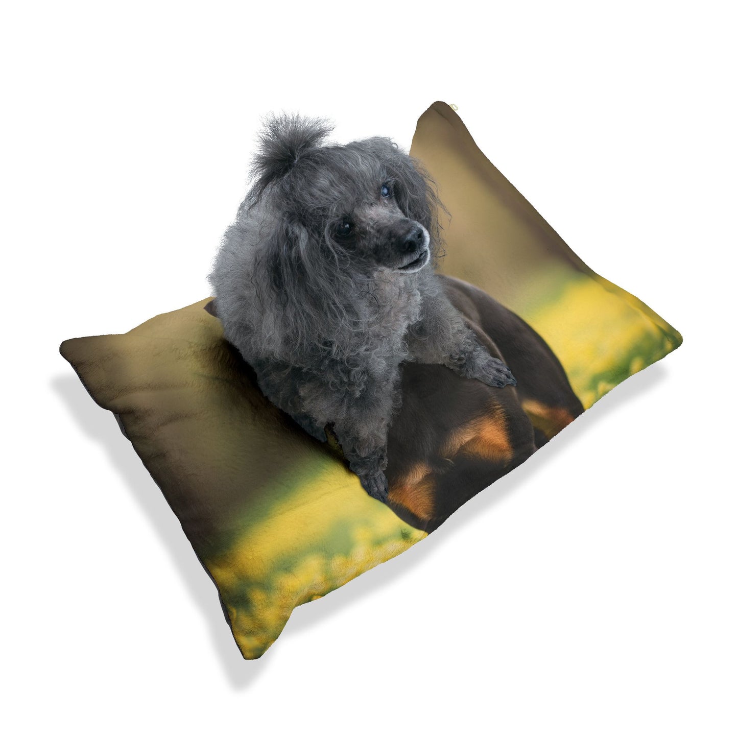 Beauceron Pet Bed