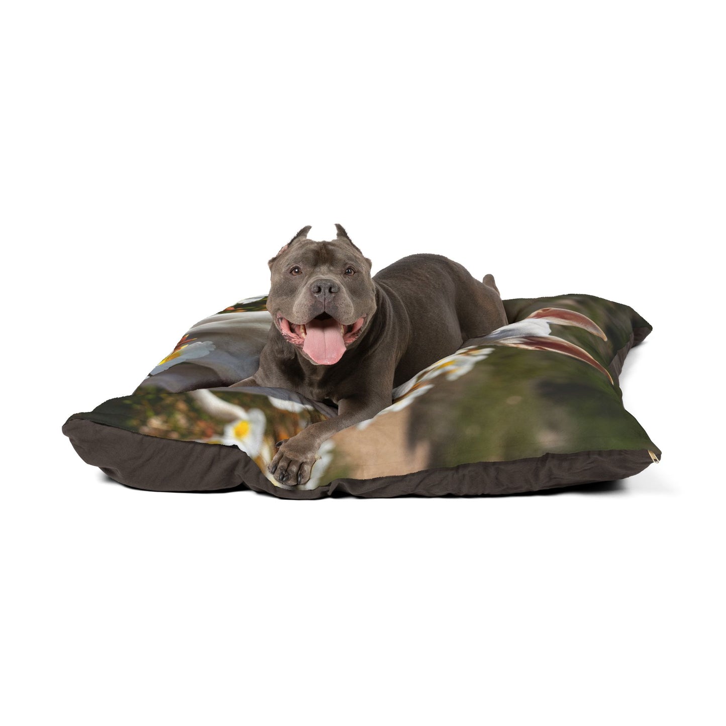 Ibizan Hound Pet Bed