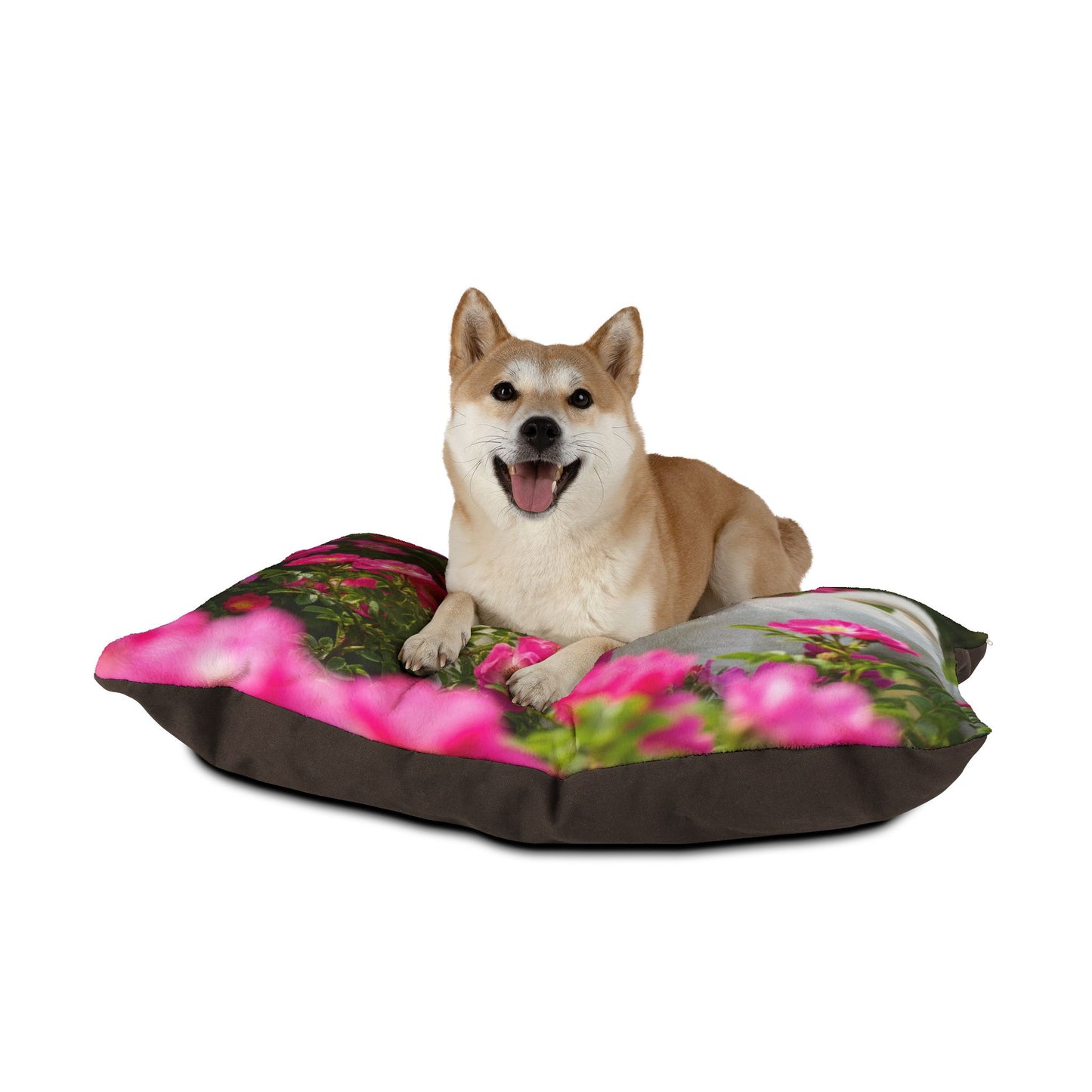 Norrbottenspets Pet Bed