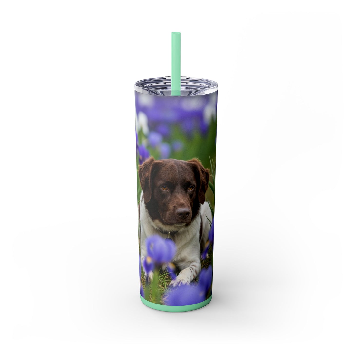Stabyhouns Tumbler with Straw, 20oz