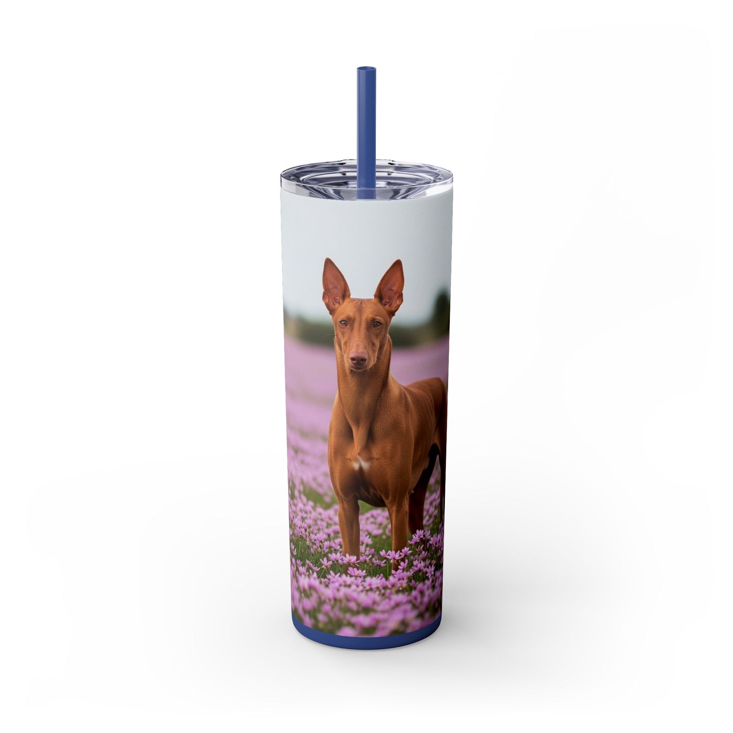 Pharaoh Hound Skinny Tumbler with Straw, 20oz