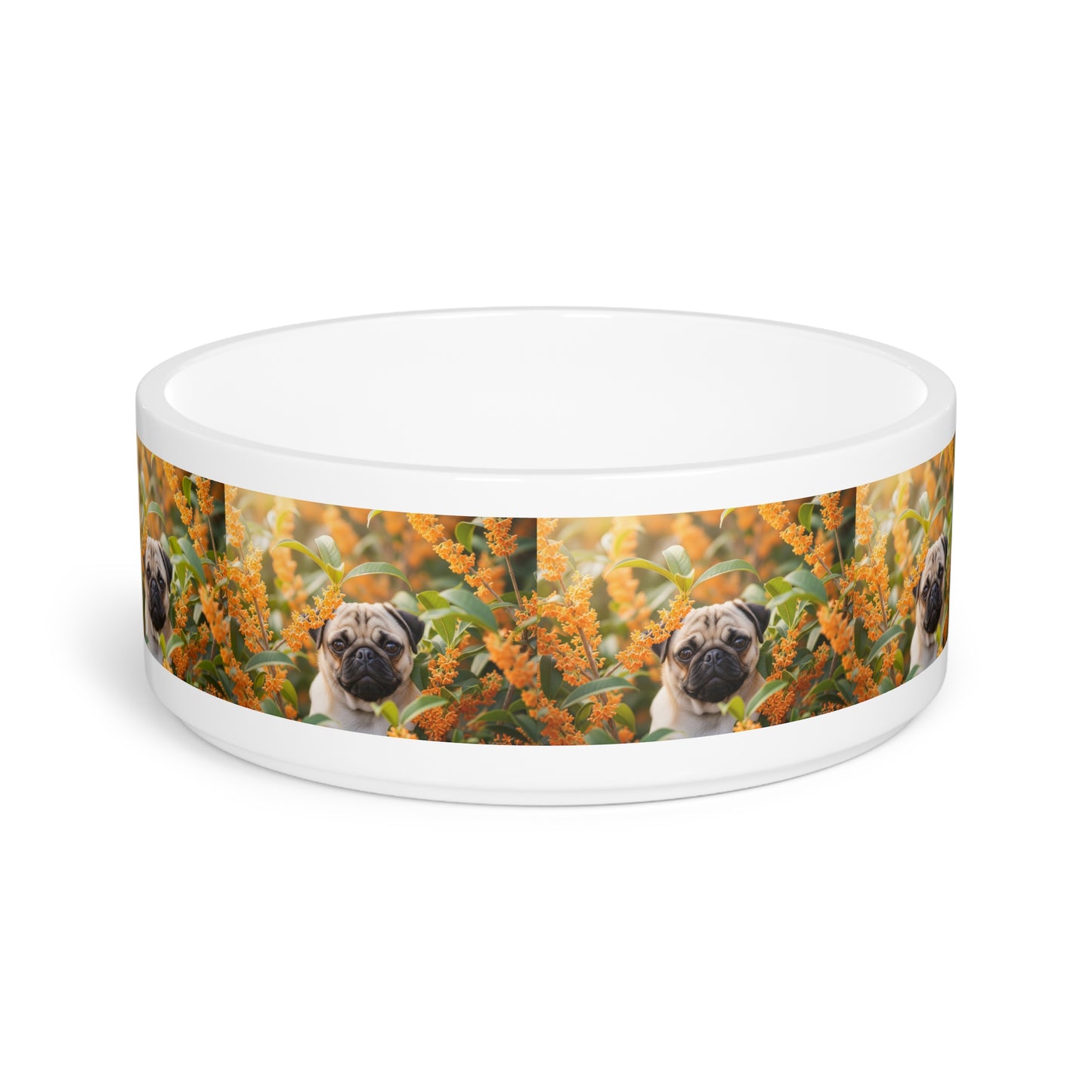 Pug Pet Bowl