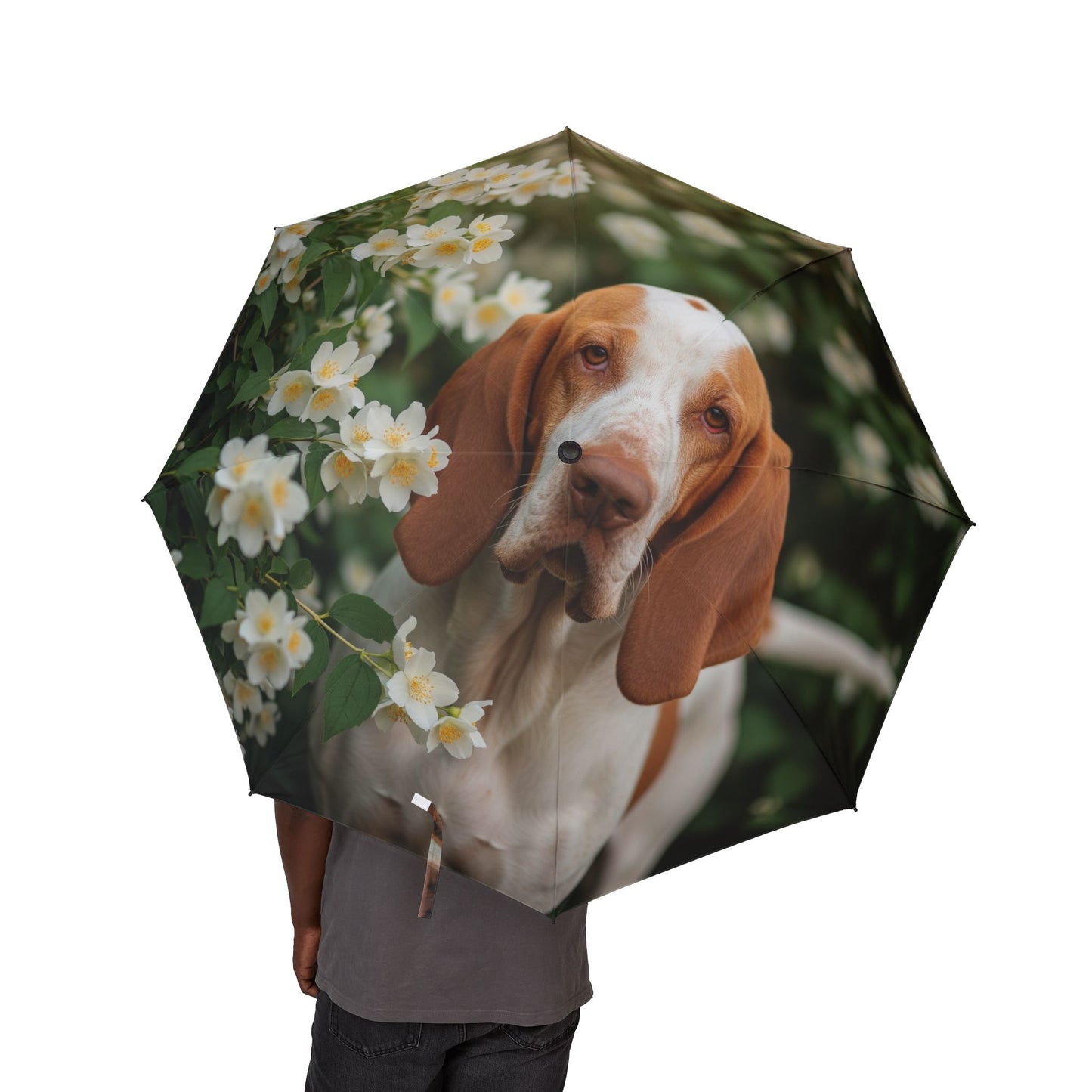 Bracco Italiano Semi-Automatic Foldable Umbrella