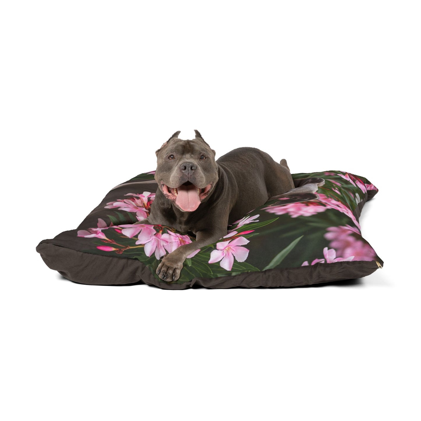 Greyhound Pet Bed