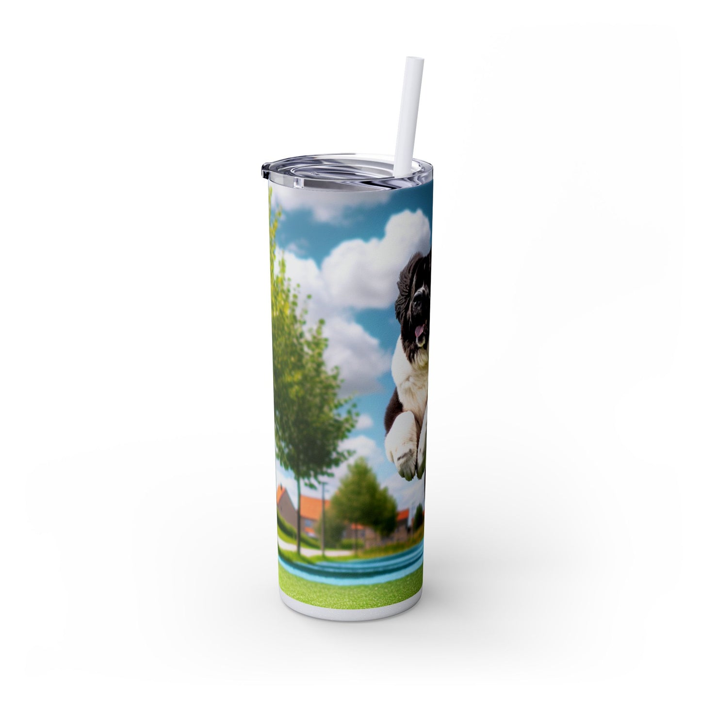 Landseer Tumbler with Straw, 20oz