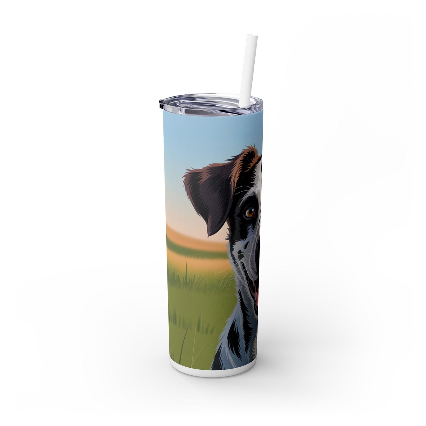 Telomian Skinny Tumbler with Straw, 20oz