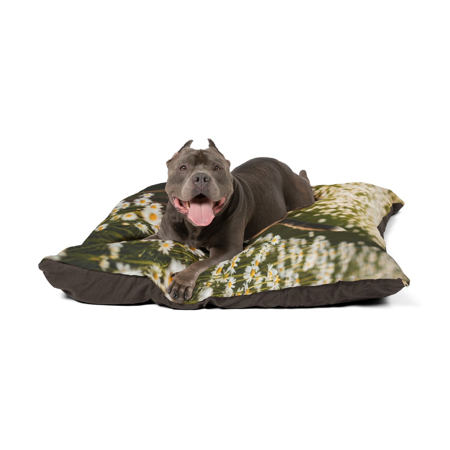 Danish-Swedish Farmdog Pet Bed