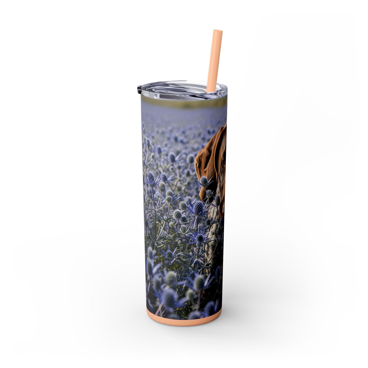 German Shorthaired Pointer Tumbler with Straw, 20oz
