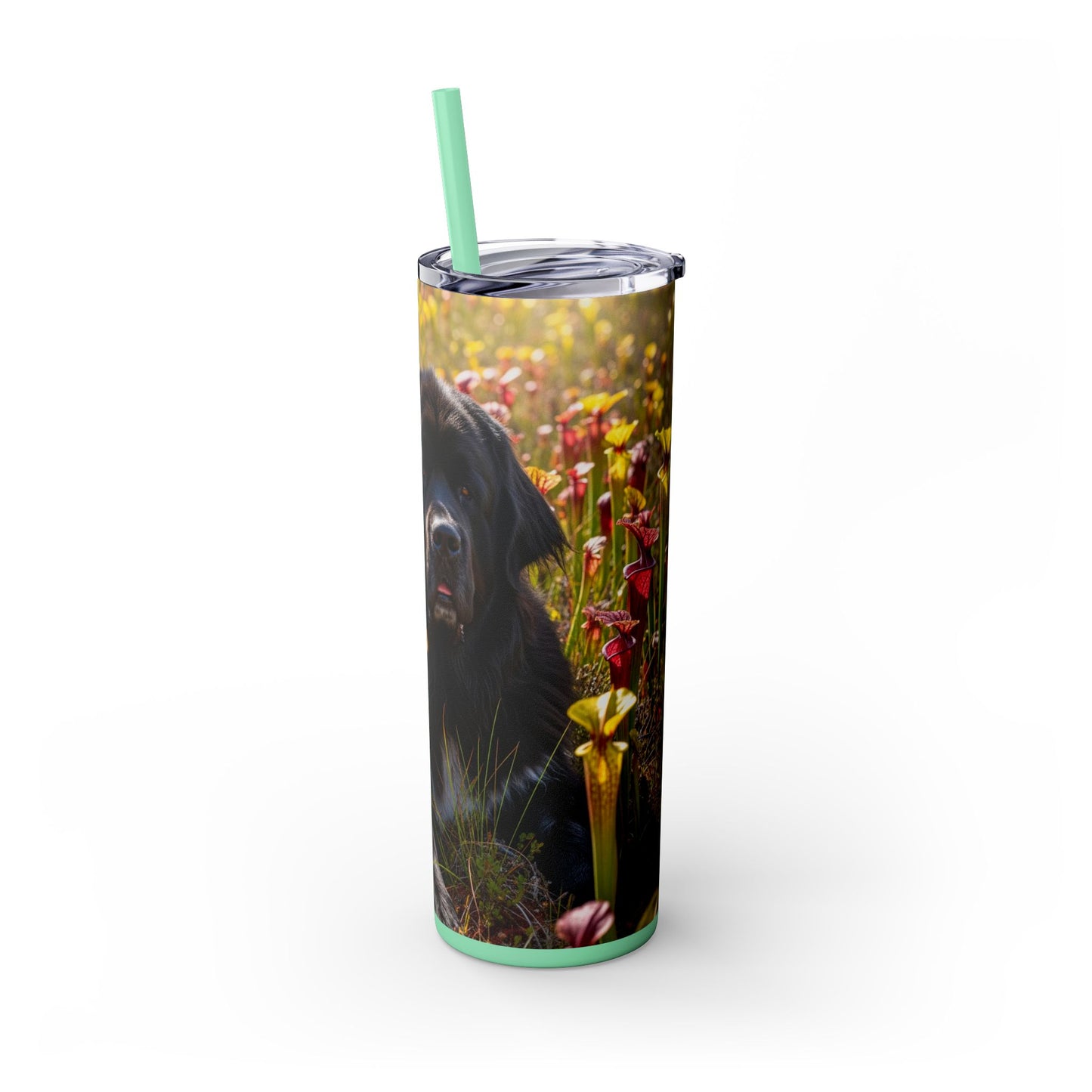 Newfoundland Skinny Tumbler with Straw, 20oz