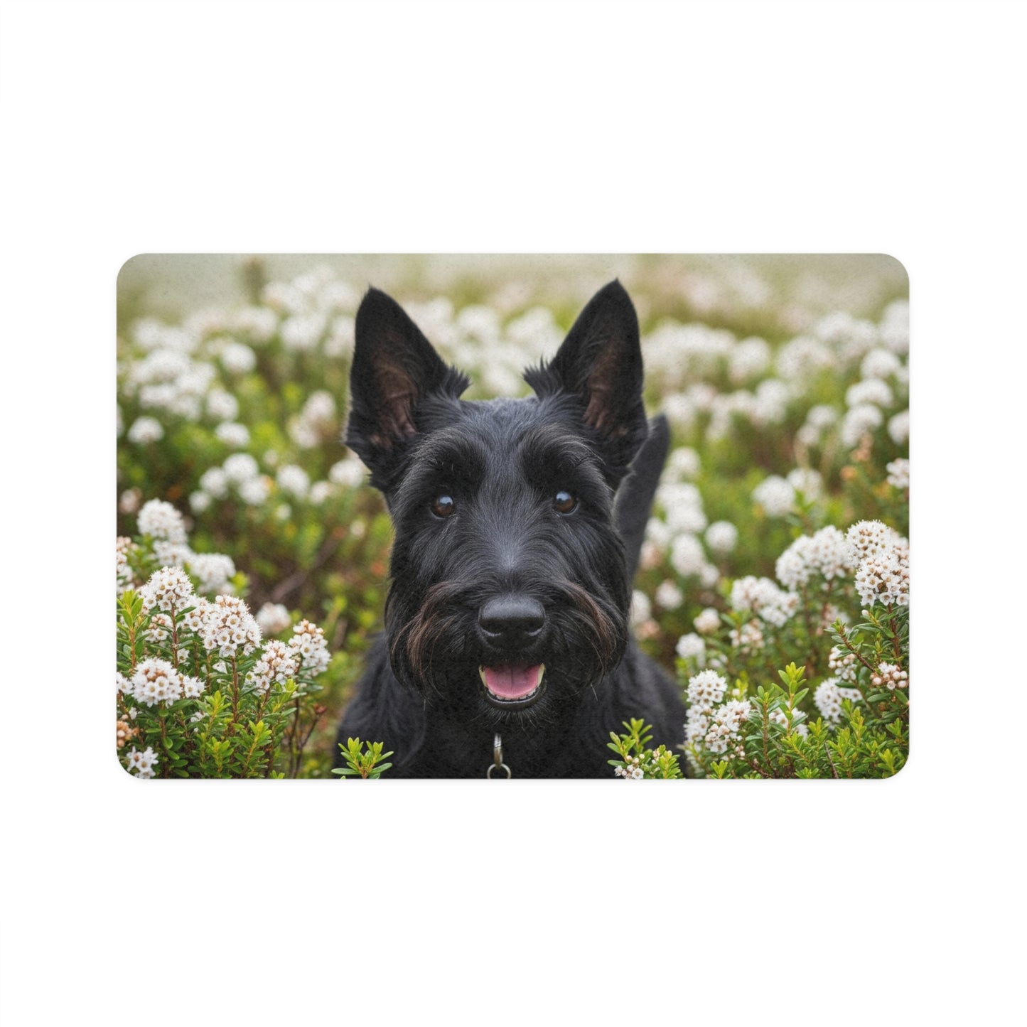 Pet Food Mat (12x18) - Scottish Terrier