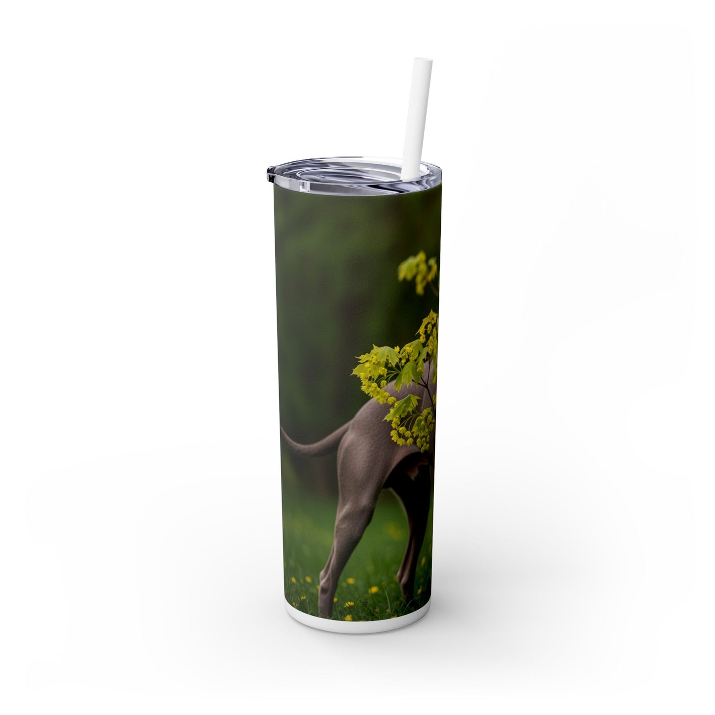 Weimaraner Skinny Tumbler with Straw, 20oz