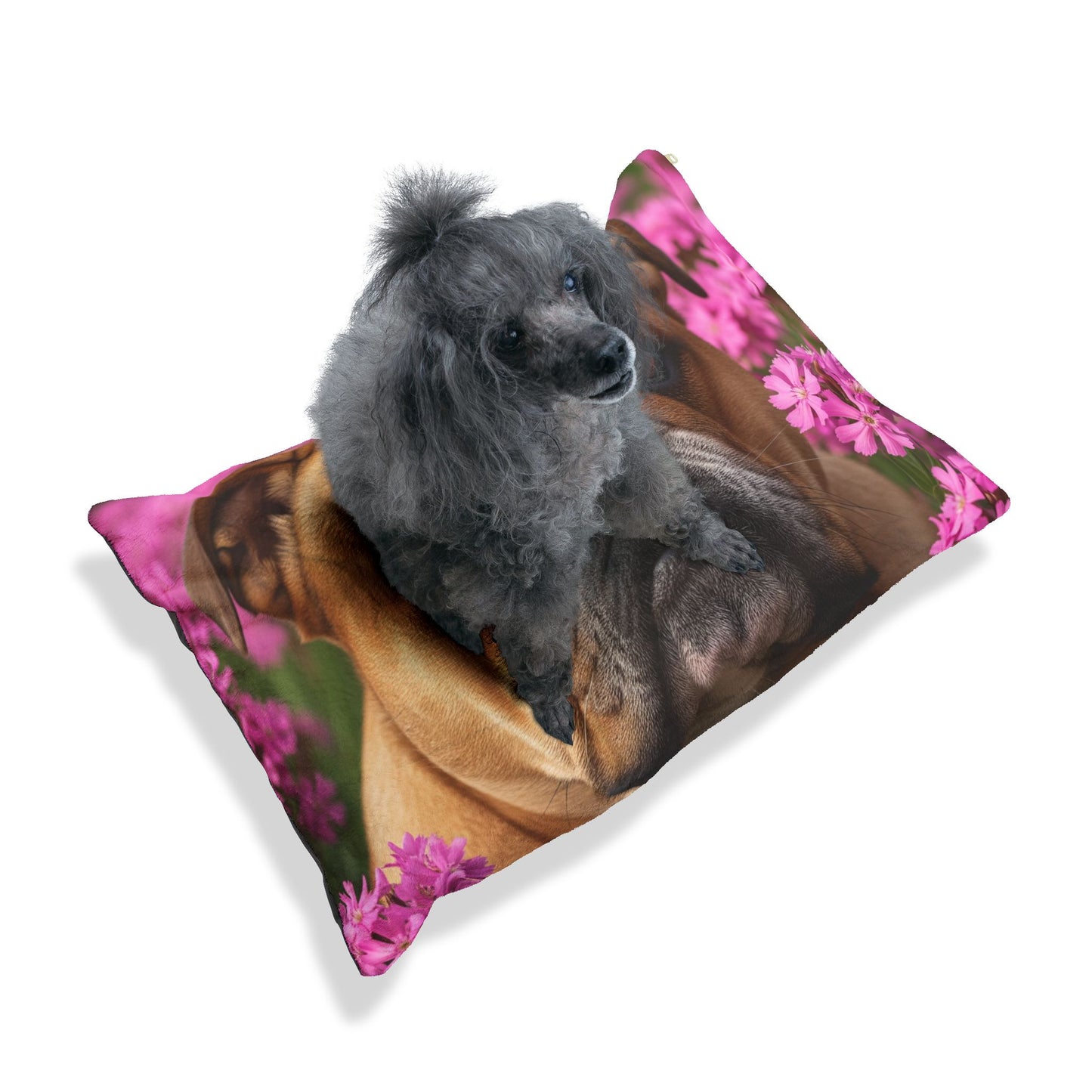 Bulldog Pet Bed