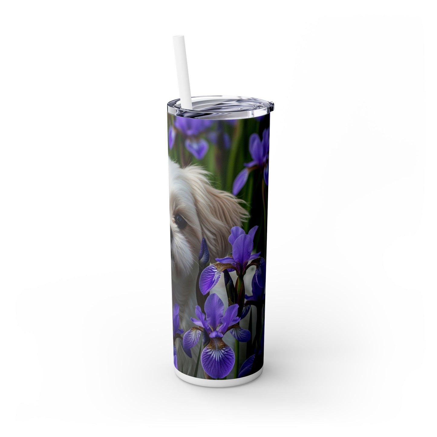 Shihchon Tumbler with Straw, 20oz