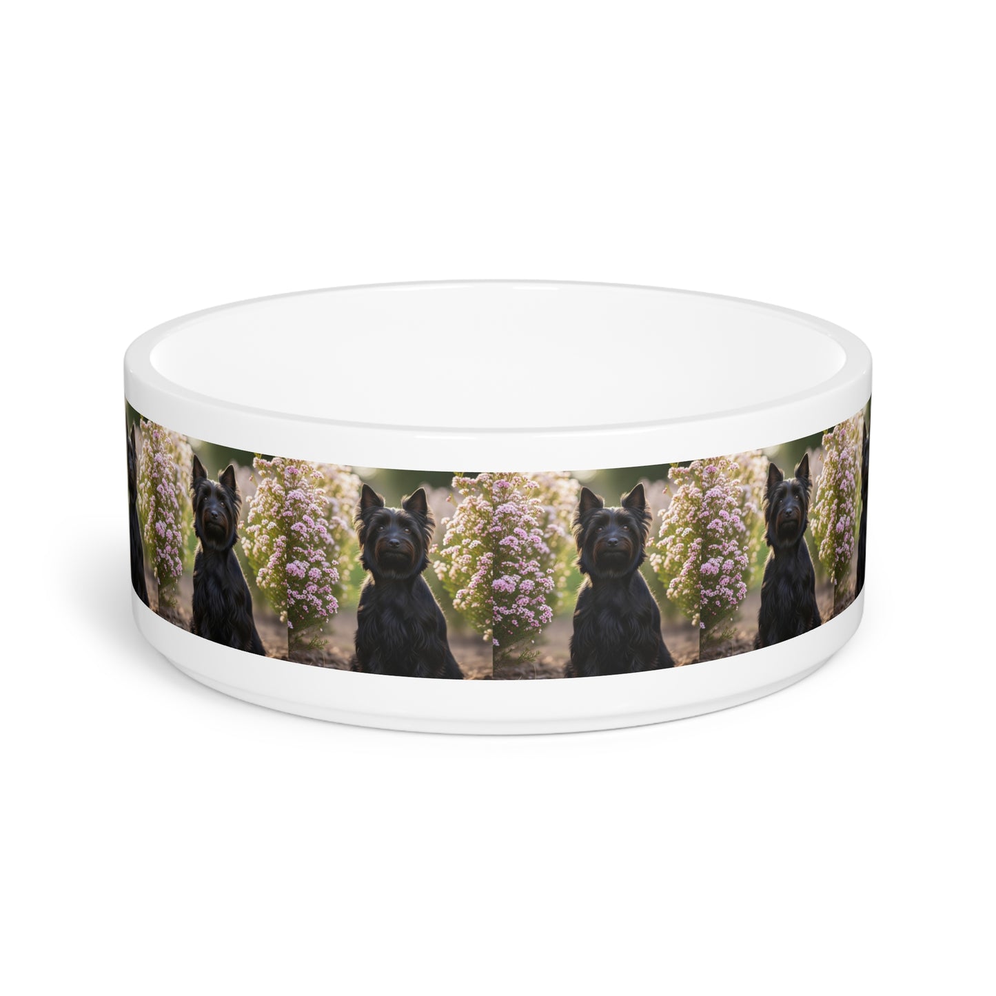 Australian Silky Terrier Pet Bowl