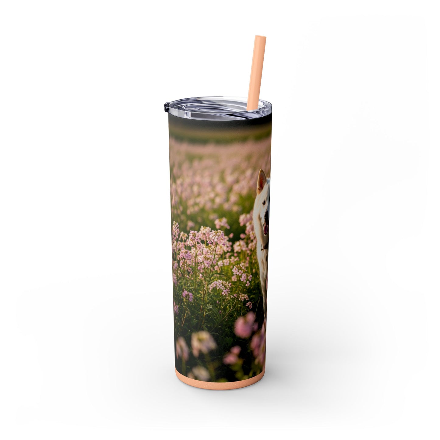 Kishu Ken Tumbler with Straw, 20oz