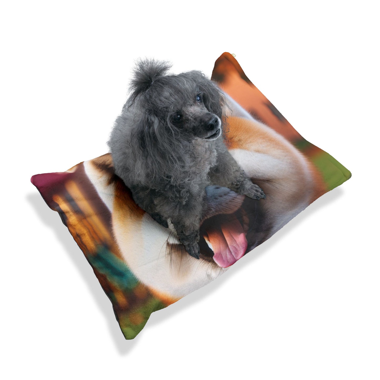 Japanese Akitainu Pet Bed