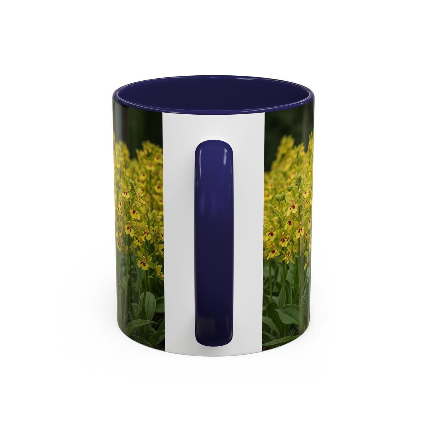 Basenji Accent Coffee Mug - Perfect Gift for Dog Lovers