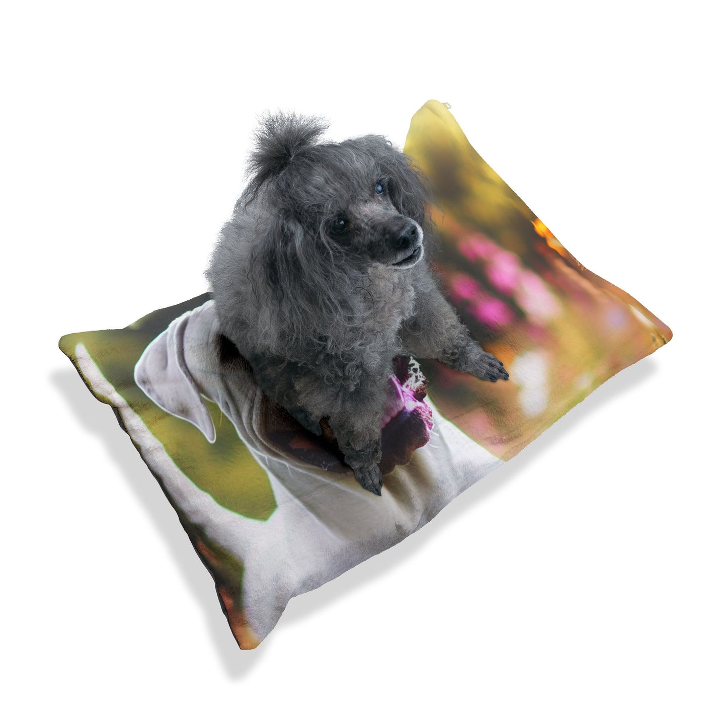 Dogo Argentino Pet Bed