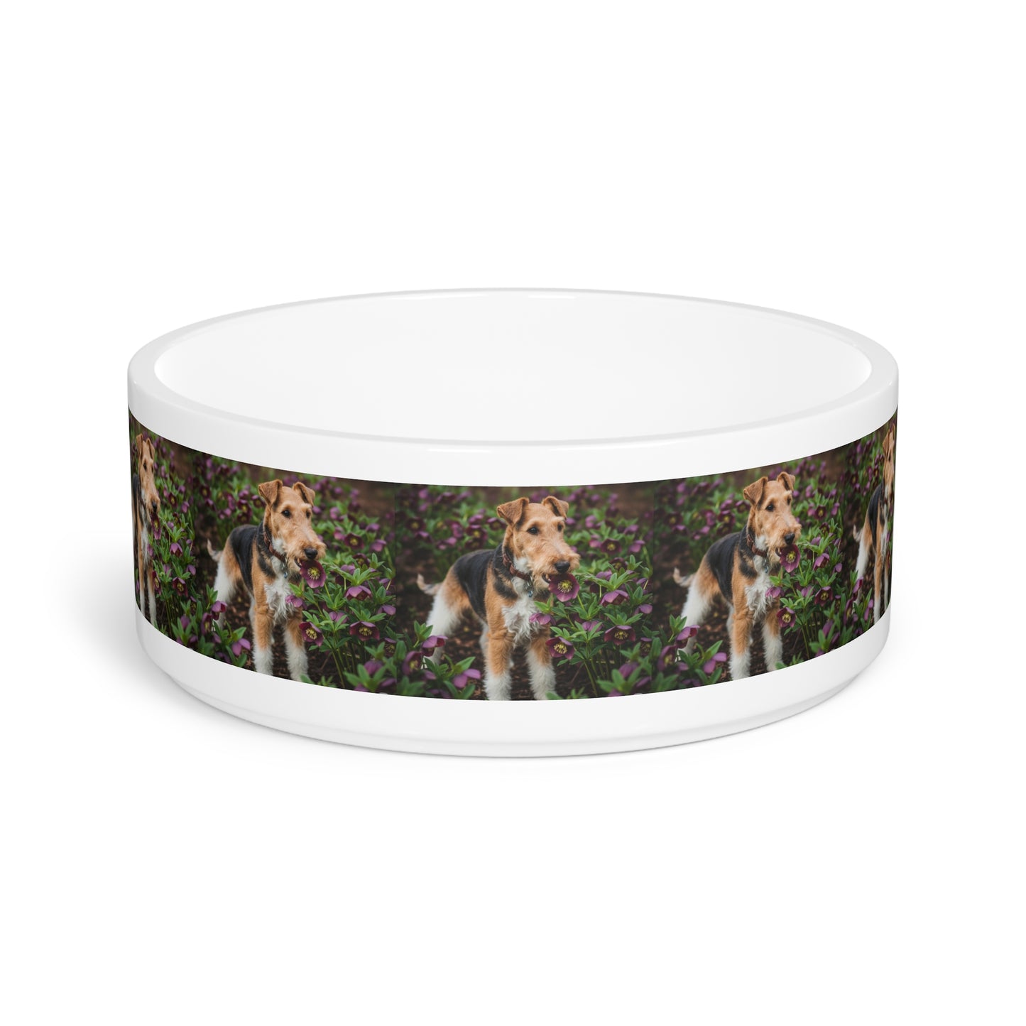Wire Fox Terrier Pet Bowl