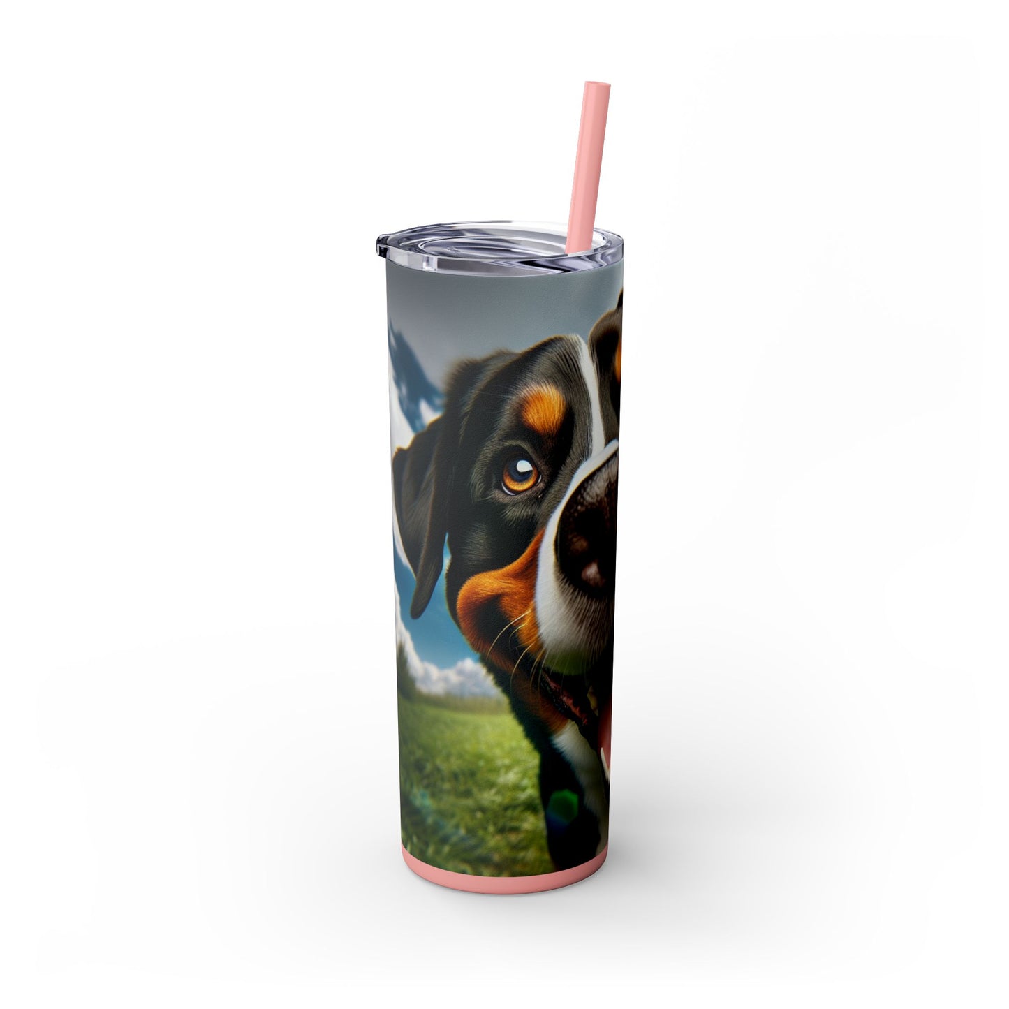 Greater Swiss Mountain Dog Tumbler with Straw, 20oz
