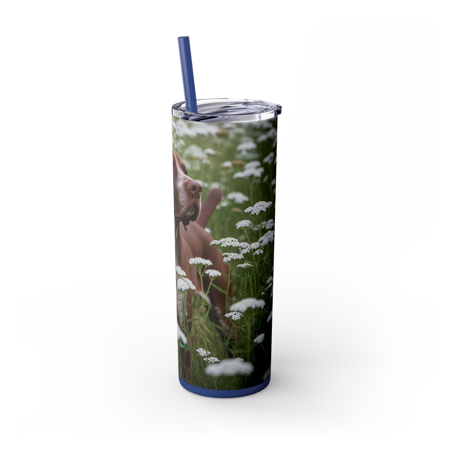 Braque du Bourbonnais Tumbler with Straw, 20oz