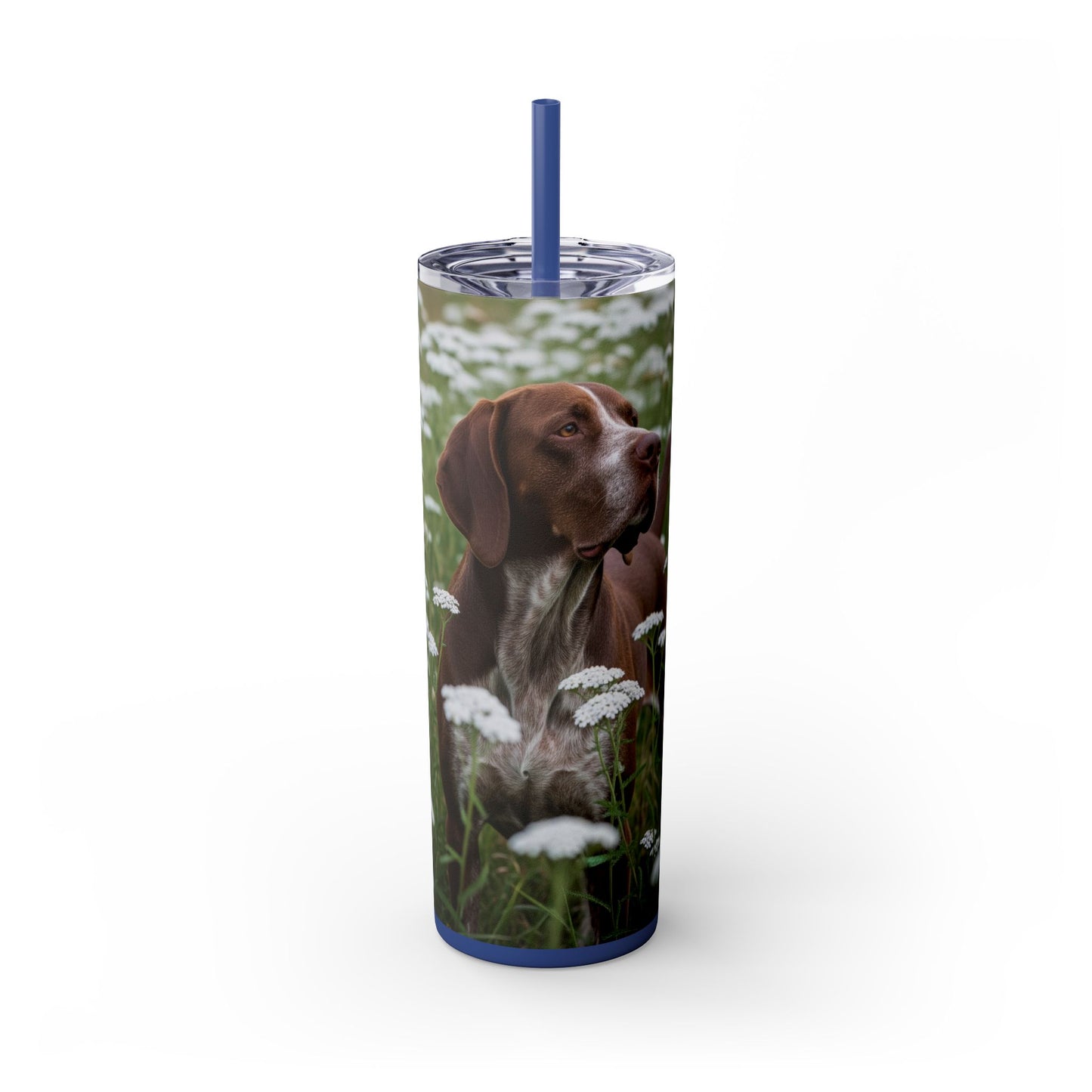 Braque du Bourbonnais Tumbler with Straw, 20oz