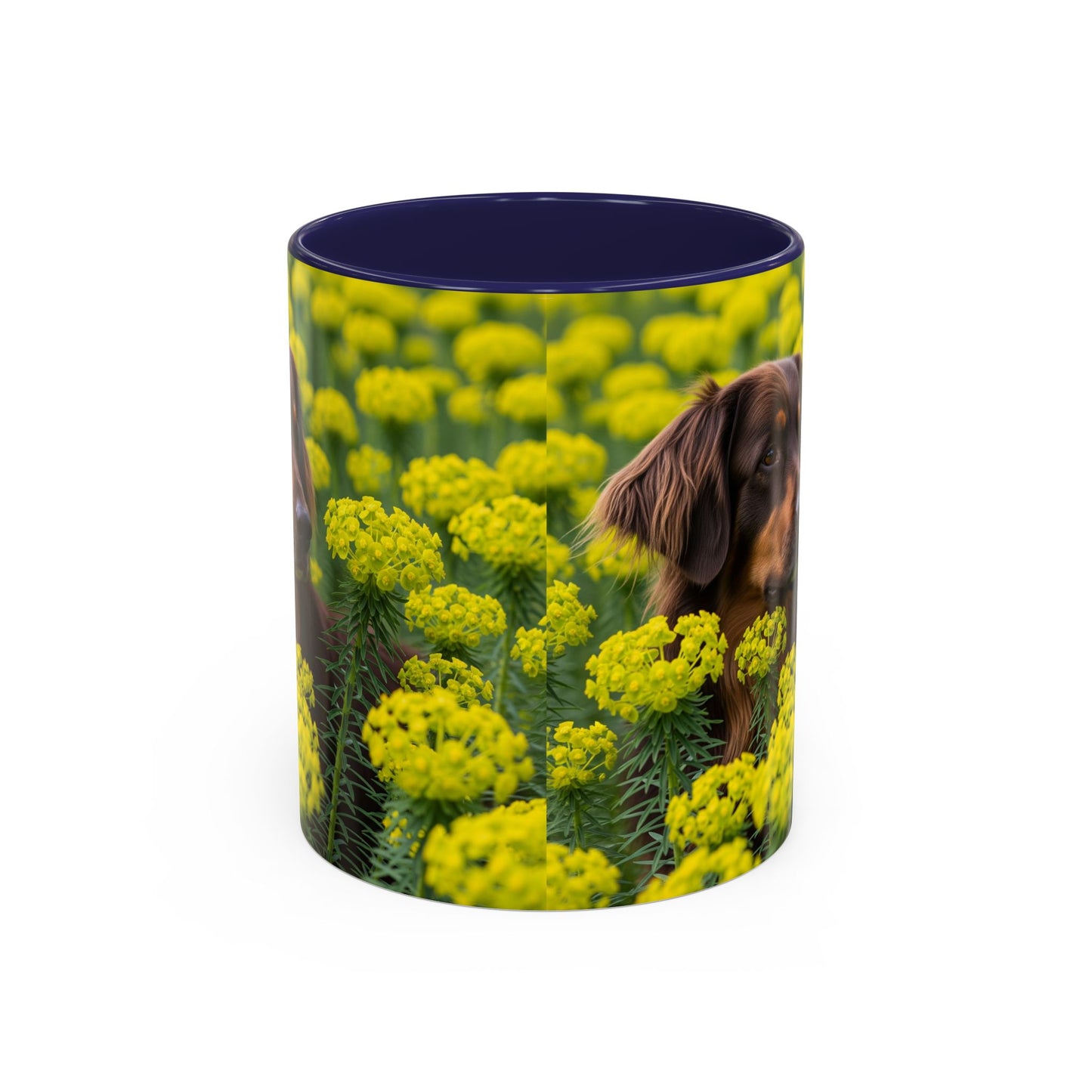Hovawart Accent Coffee Mug - Perfect Gift for Dog Lovers