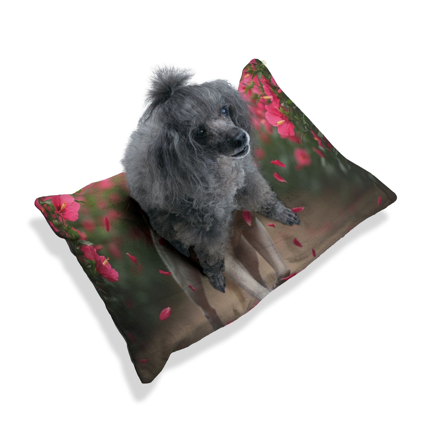 Korean Jindo Dog Pet Bed