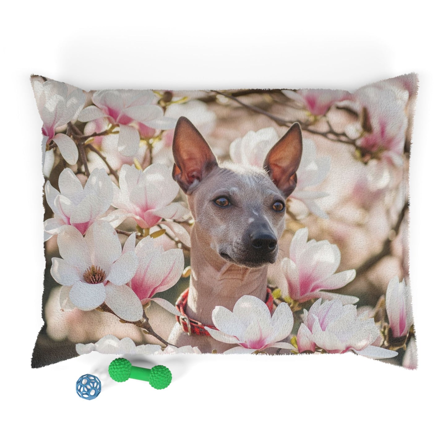 American Hairless Terrier Pet Bed
