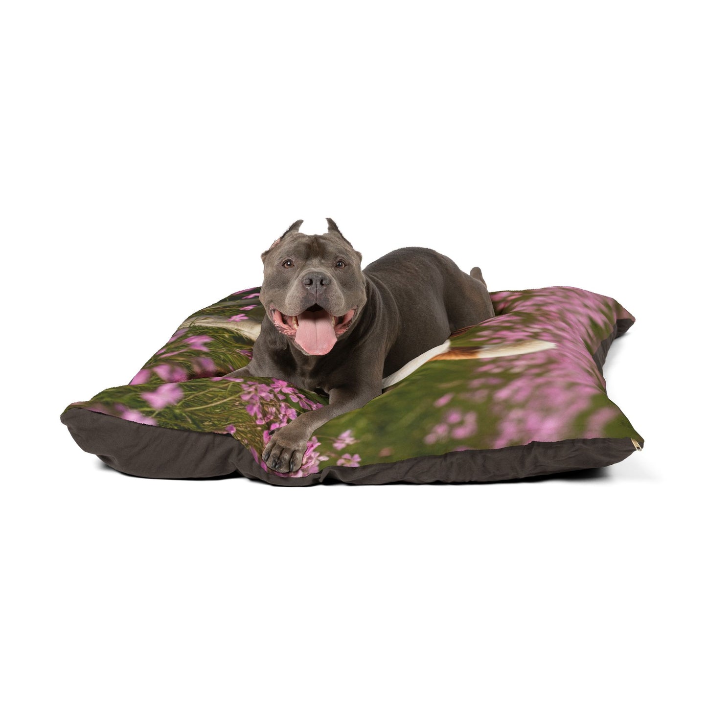 Parson Russell Terrier Pet Bed