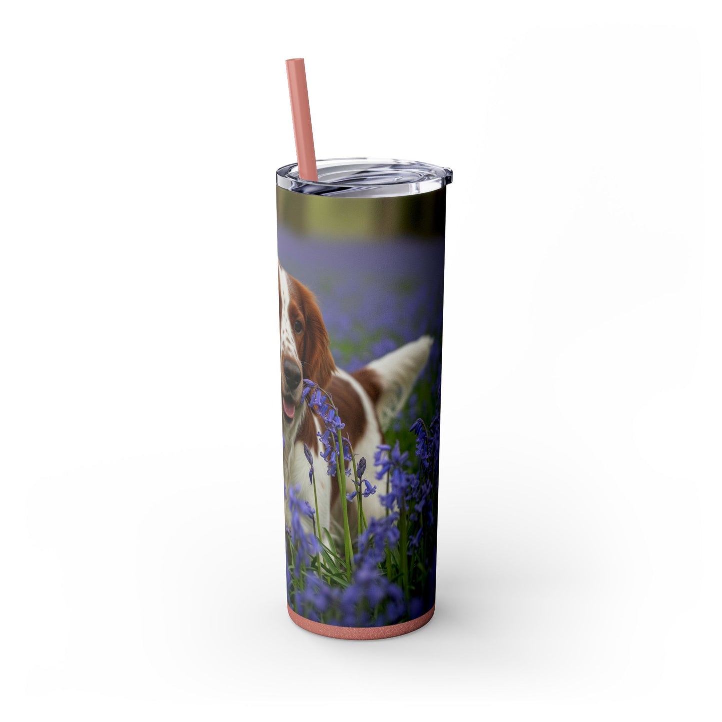 Welsh Springer Spaniel Skinny Tumbler with Straw, 20oz