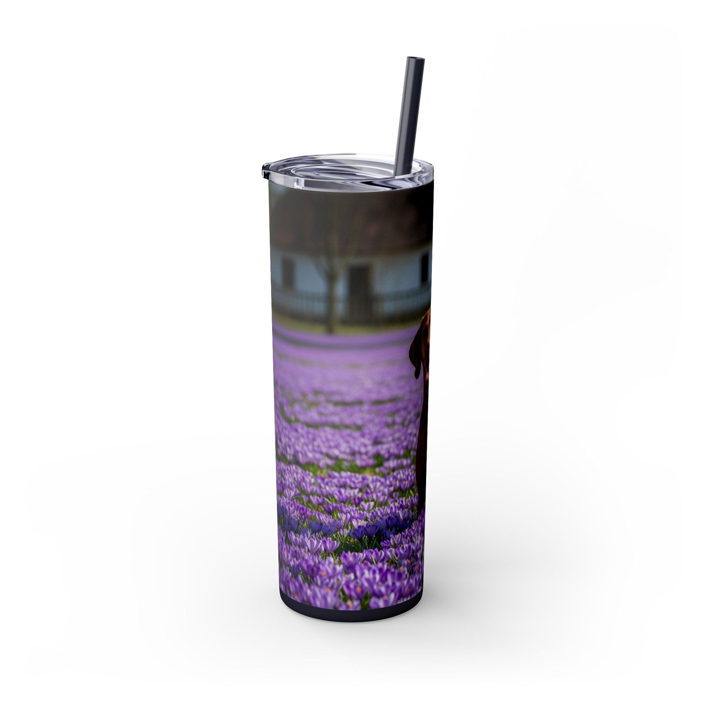 Vizsla Tumbler with Straw, 20oz