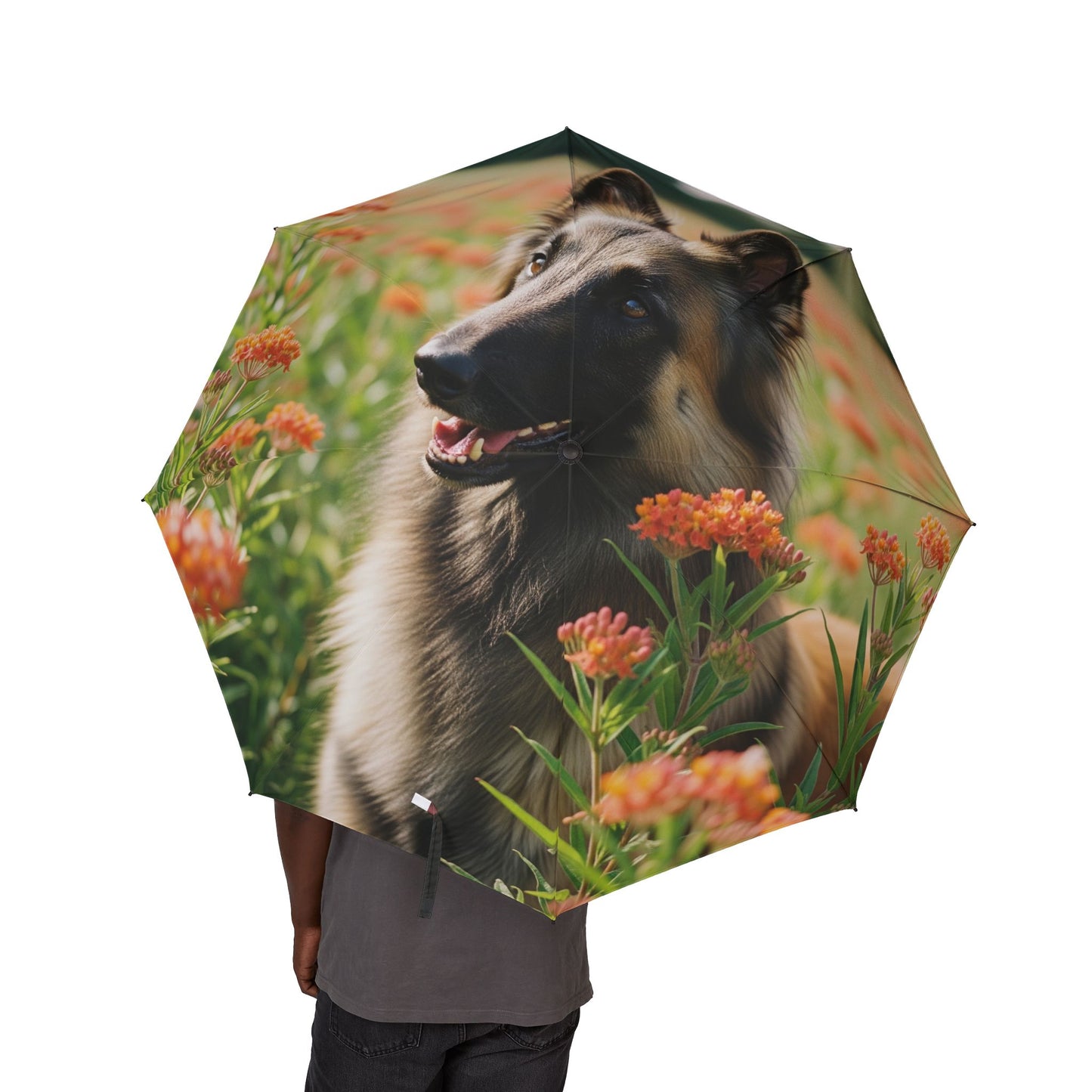 Belgian Tervuren Semi-Automatic Foldable Umbrella
