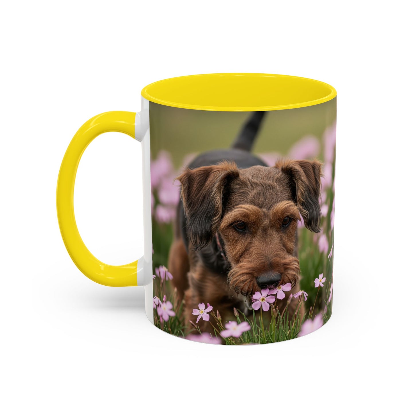 Cesky Terrier Accent Coffee Mug - Perfect Gift for Dog Lovers