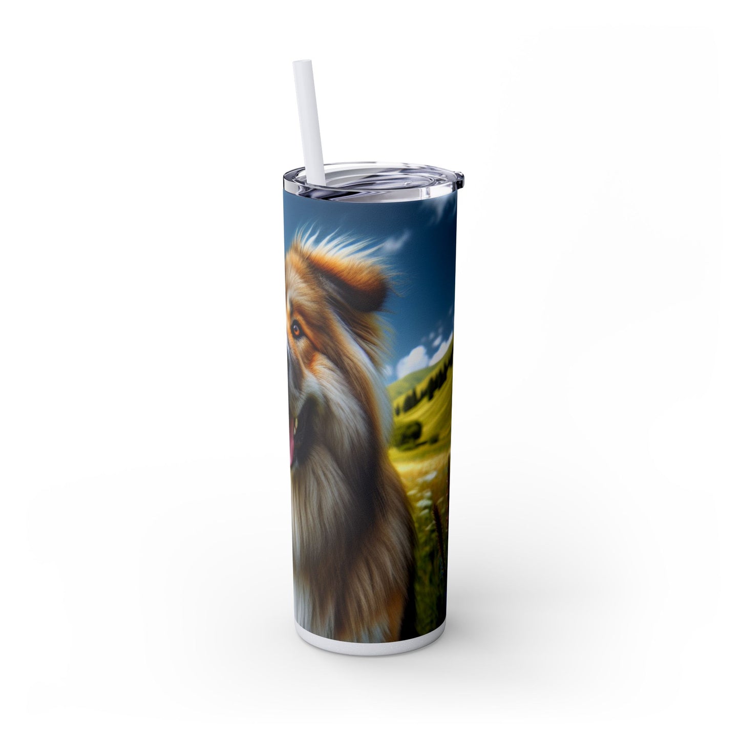 Bakharwal Tumbler with Straw, 20oz