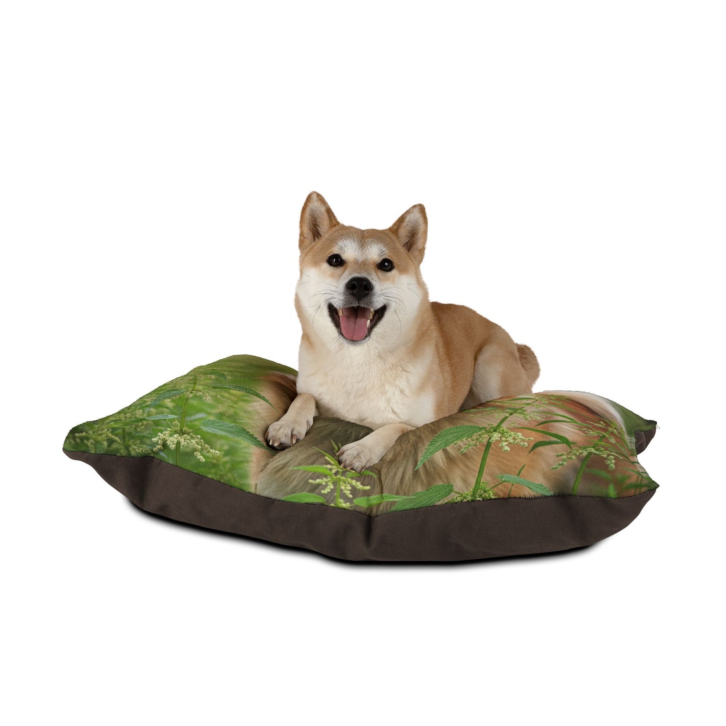 Eurasier Pet Bed