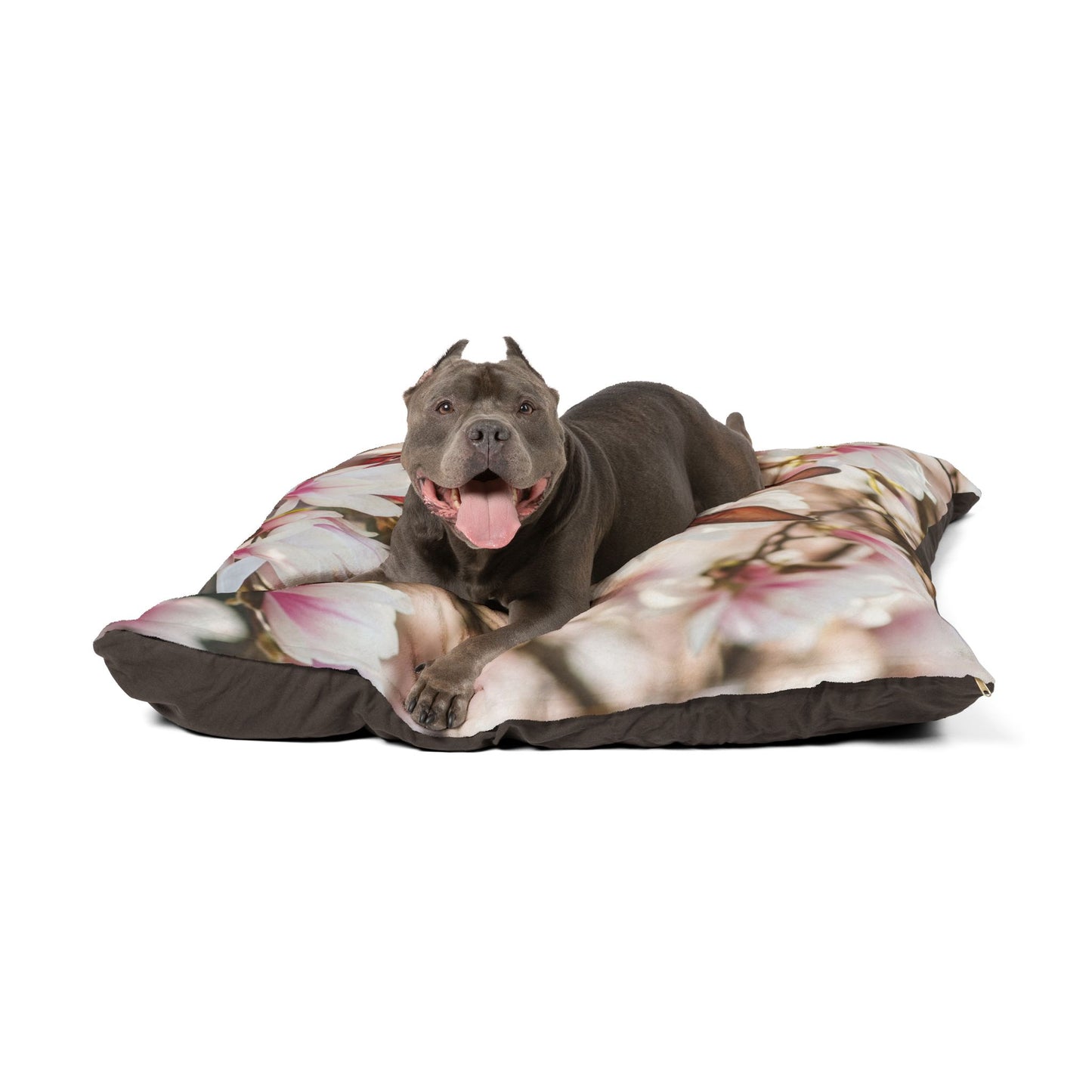 American Hairless Terrier Pet Bed
