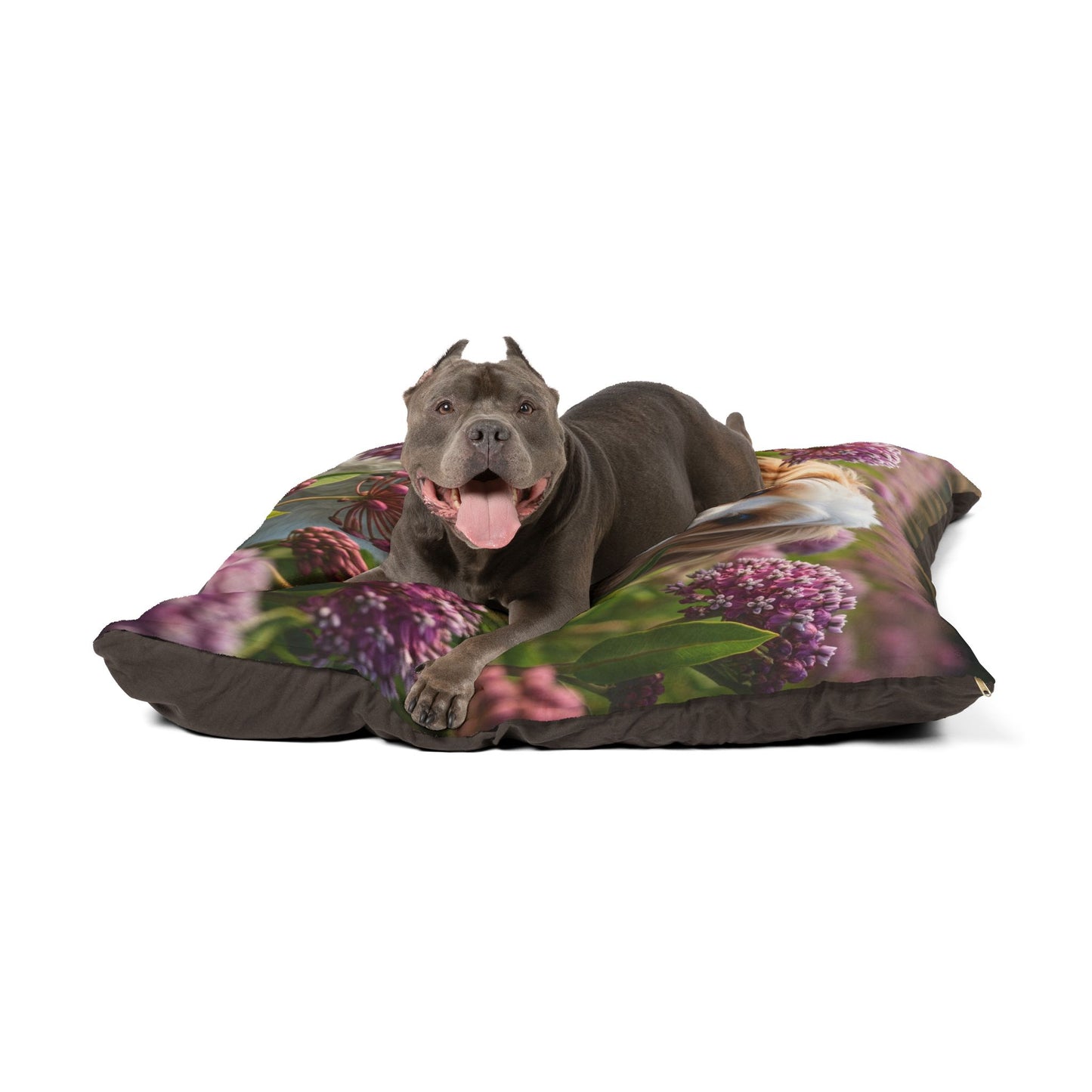 Cavachon Pet Bed