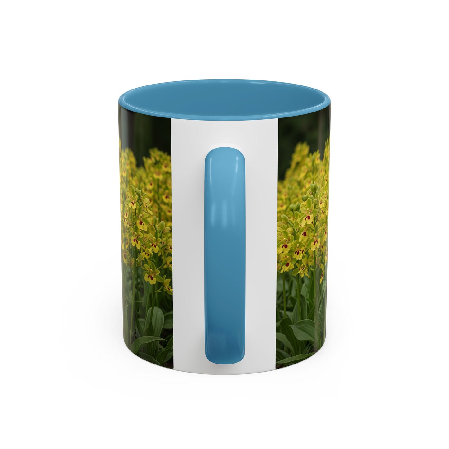 Basenji Accent Coffee Mug - Perfect Gift for Dog Lovers