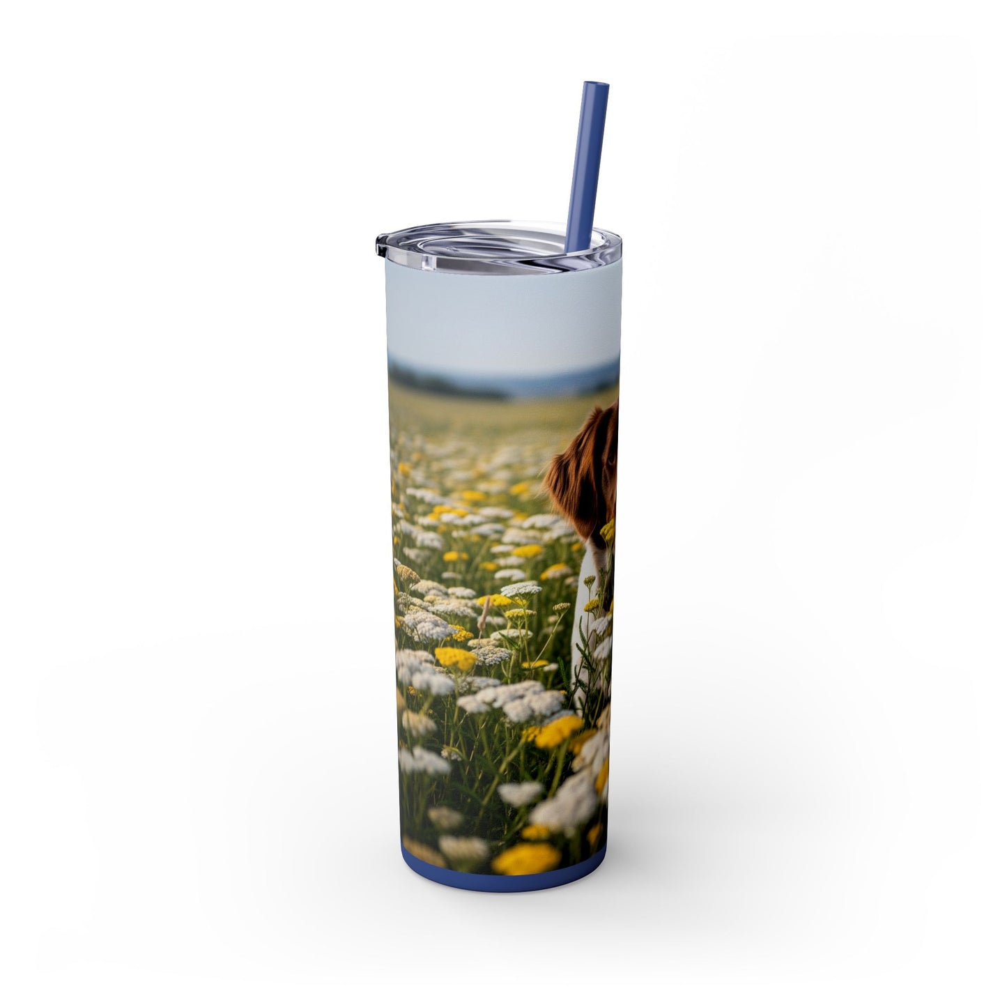 Drentsche Patrijshond Skinny Tumbler with Straw, 20oz