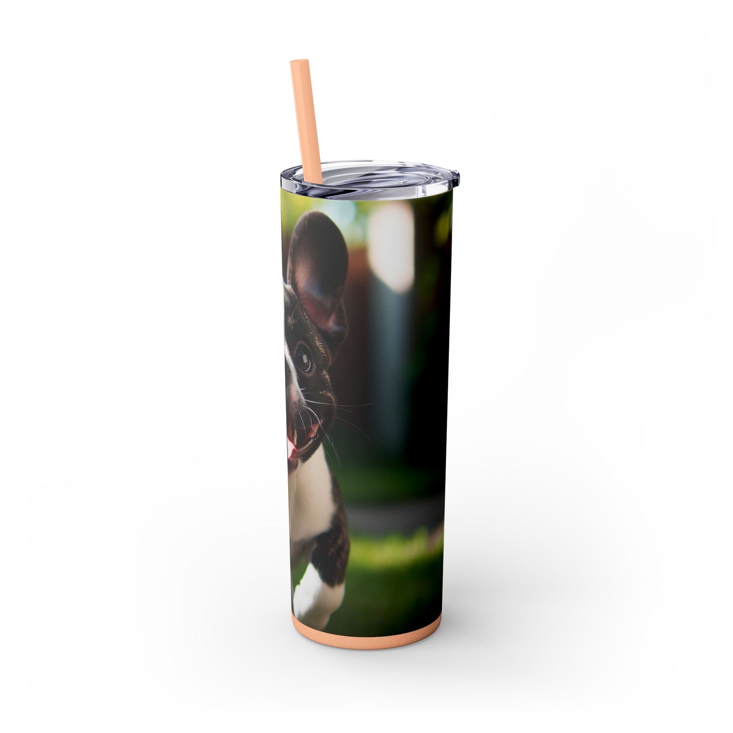 Frenchton Tumbler with Straw, 20oz