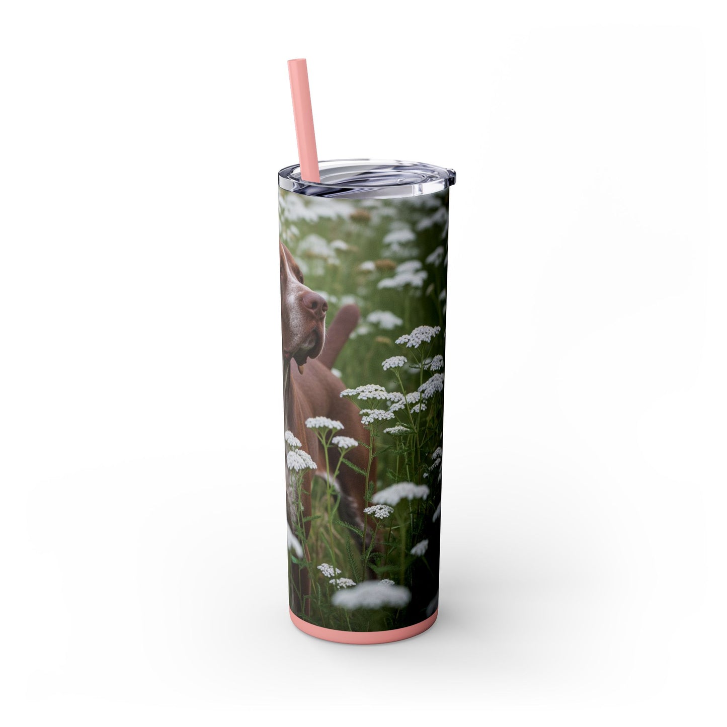 Braque du Bourbonnais Tumbler with Straw, 20oz