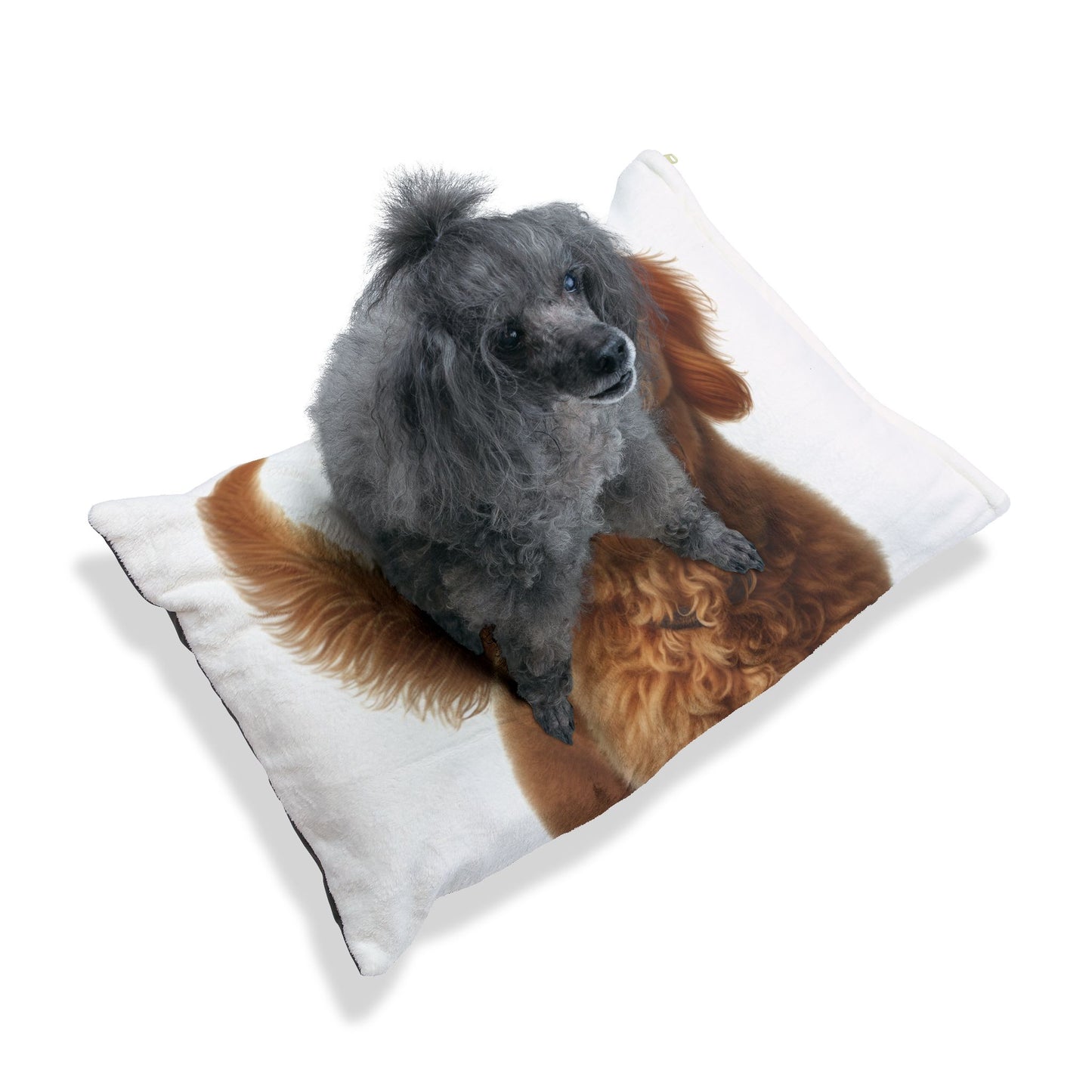 Goldendoodle Pet Bed