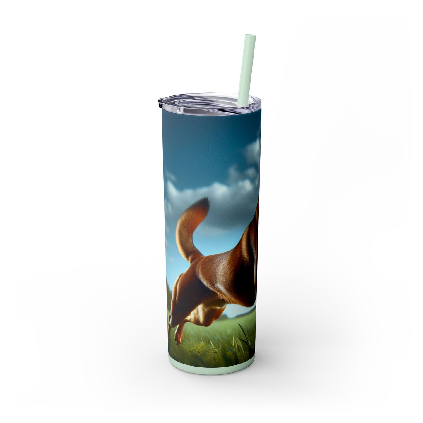 Kanni Tumbler with Straw, 20oz