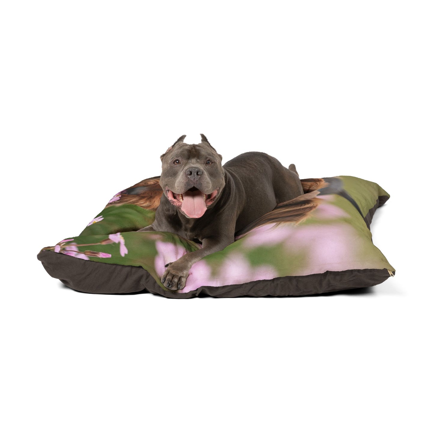 Cesky Terrier Pet Bed