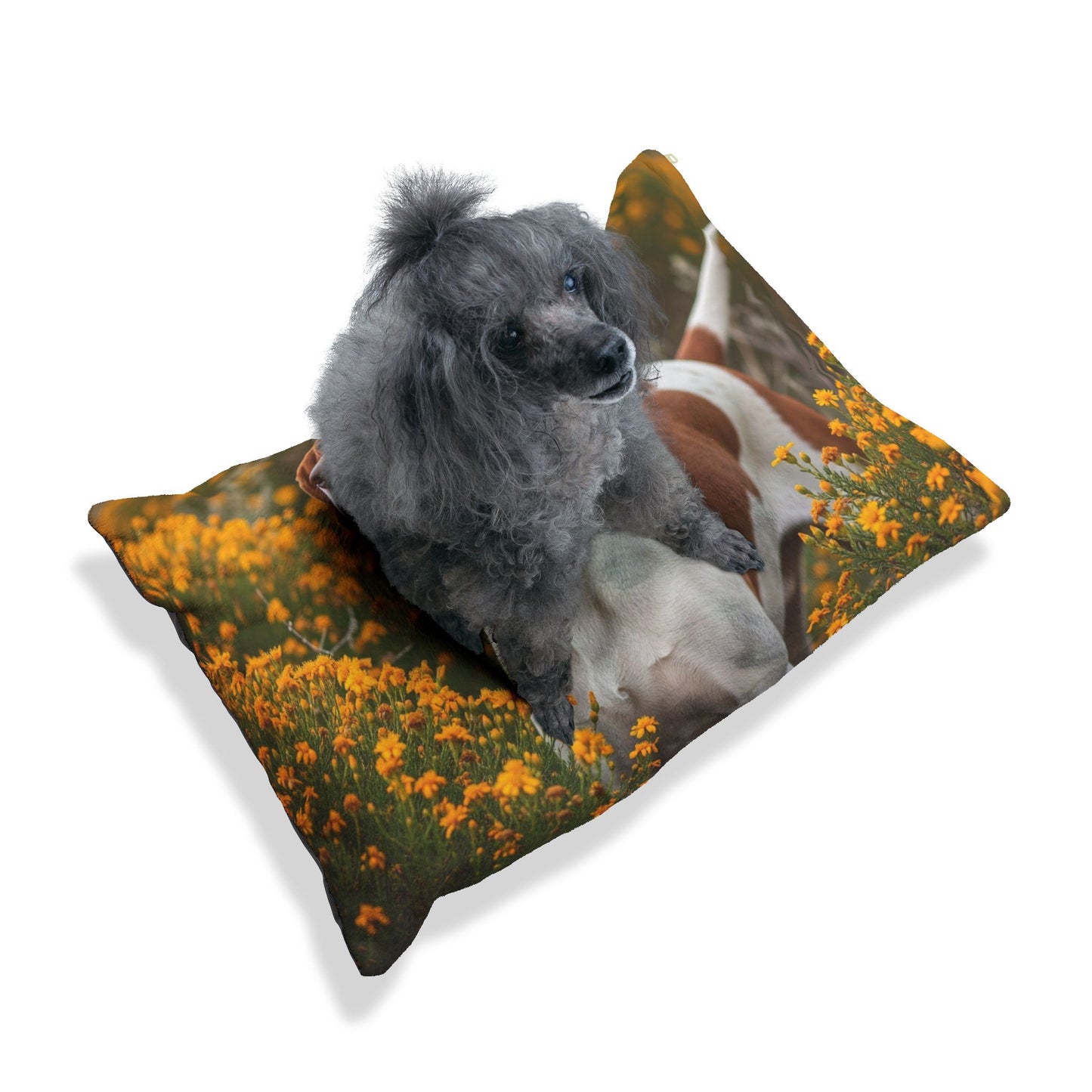 Portuguese Pointer Pet Bed