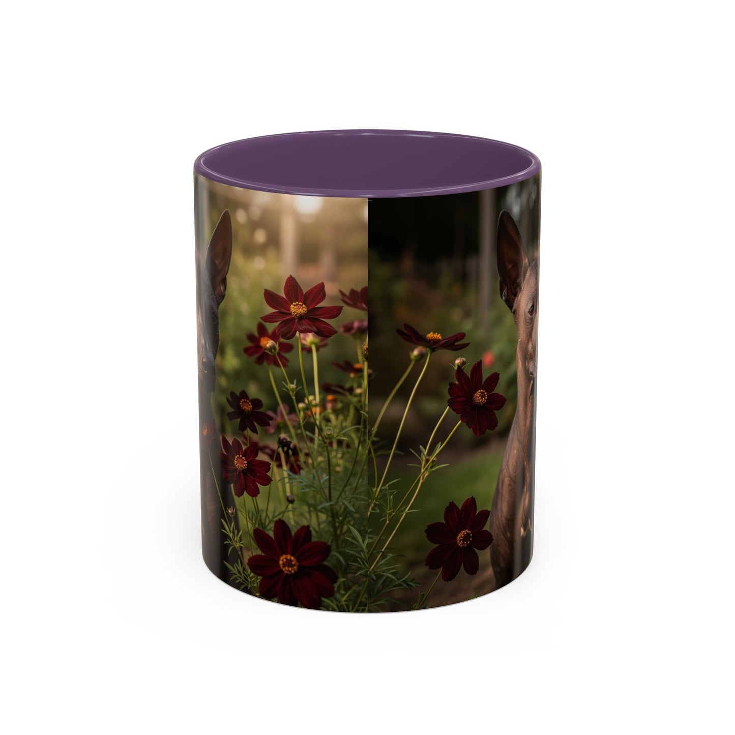 Xoloitzcuintli Accent Coffee Mug - Perfect Gift for Dog Lovers
