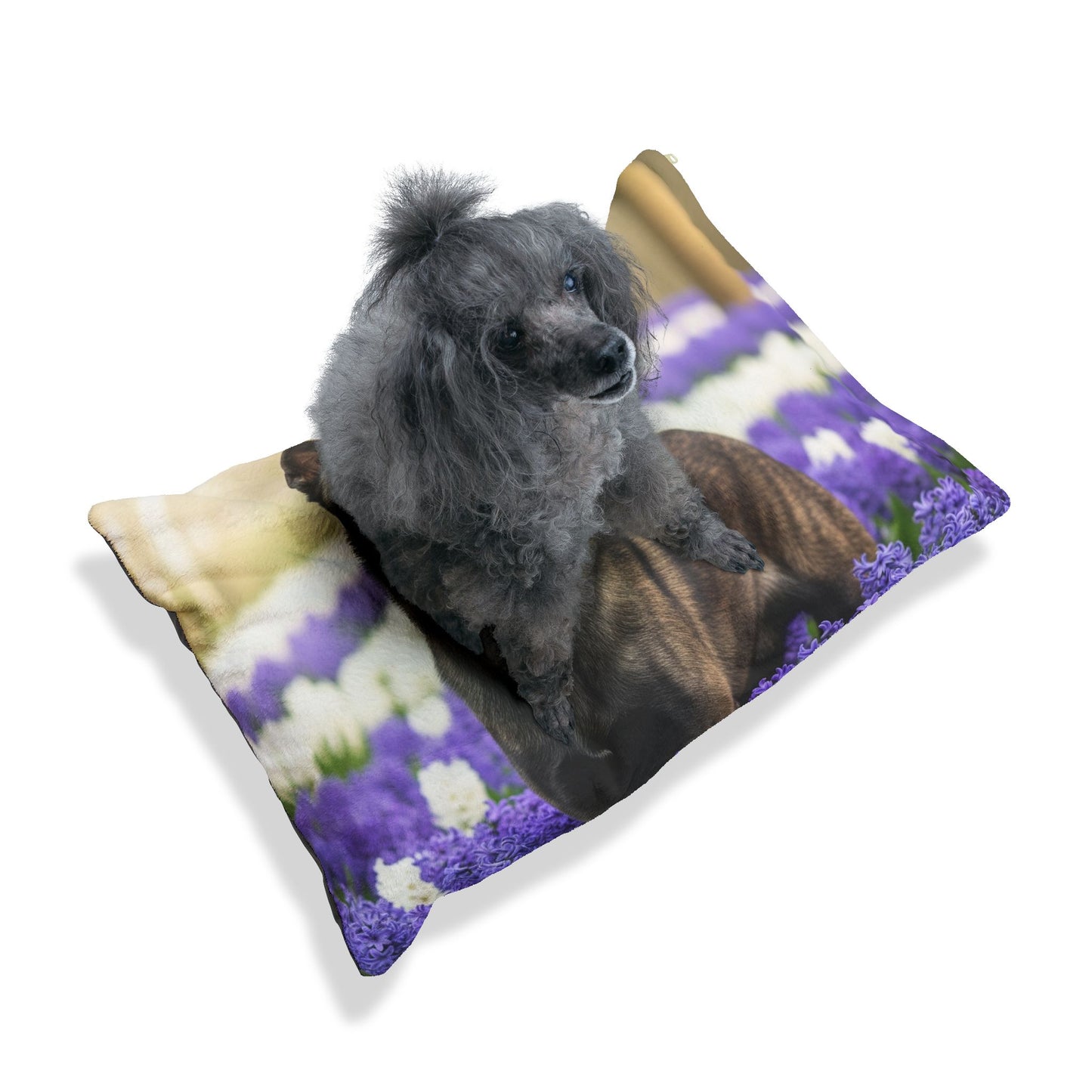 Dutch Shepherd Dog Pet Bed